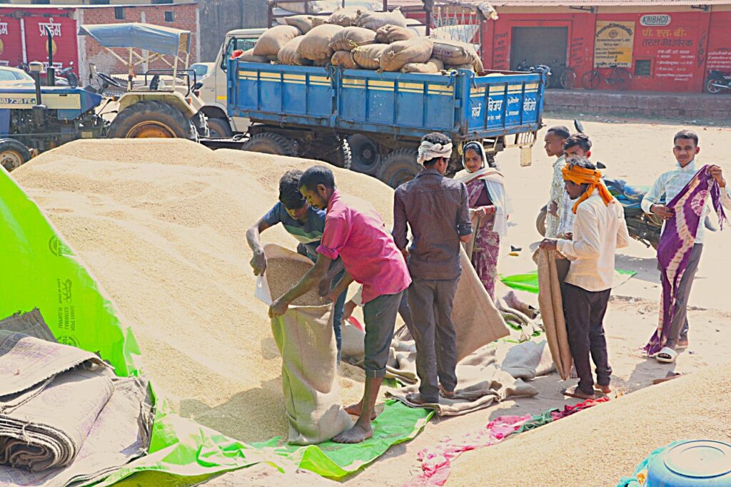 Paddy Procurement