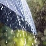 Rain Water